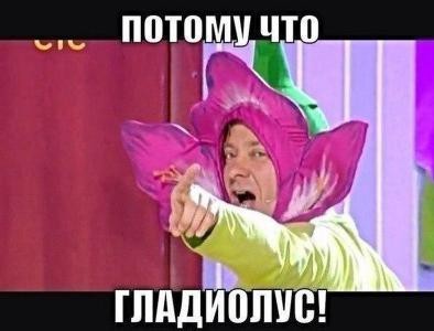 Последняя картинка в вашей Галерее/Загрузках