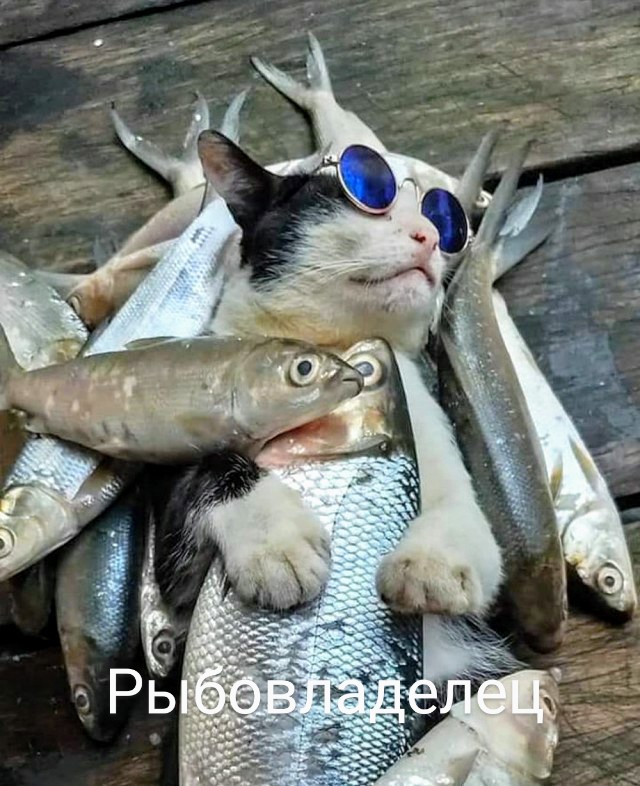 Картинки и мемы для настроения 05.08.2021