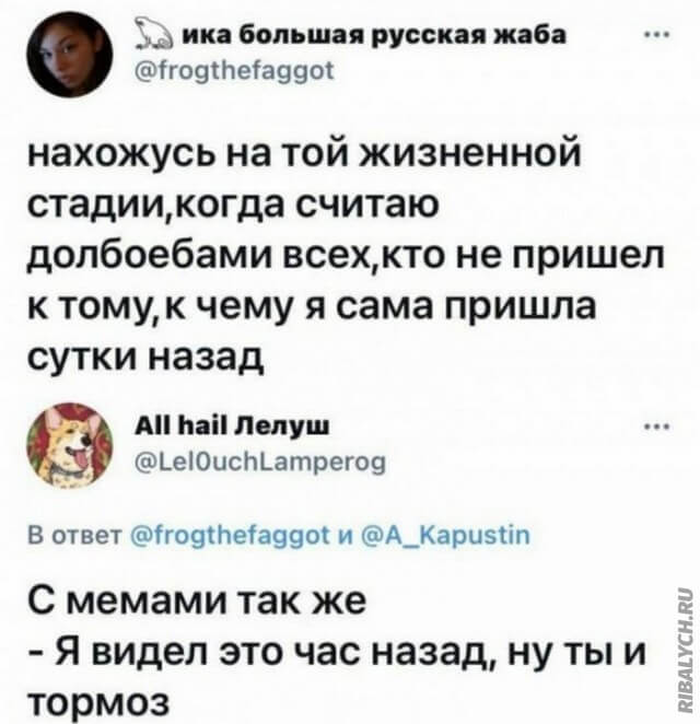 Картинки и мемы, всем прекрасных выходных