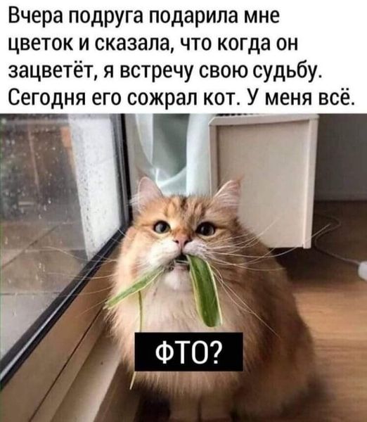 Картинки на среду 03.11.2021. Разные