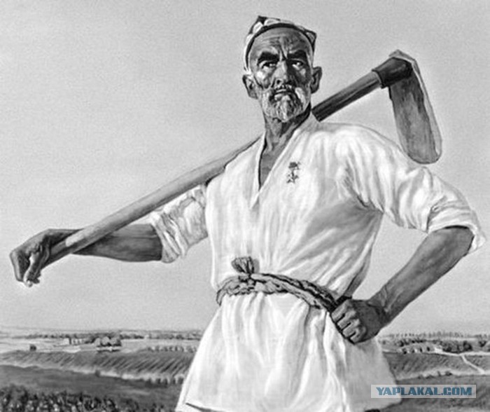 Узбекский кетмень чертеж