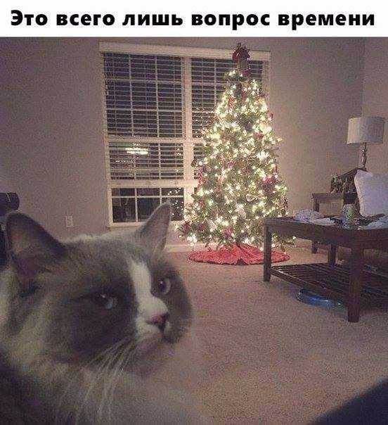 До нового года осталось...
