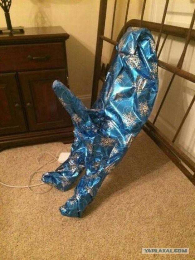 Всяческие картинки 03.12.2021