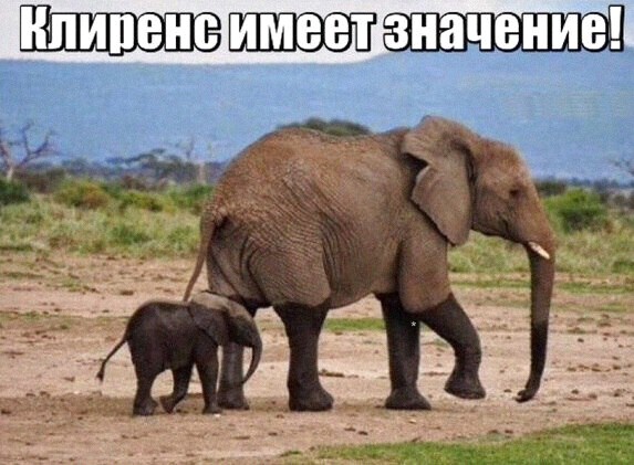 Так себе картинки 24.02.22