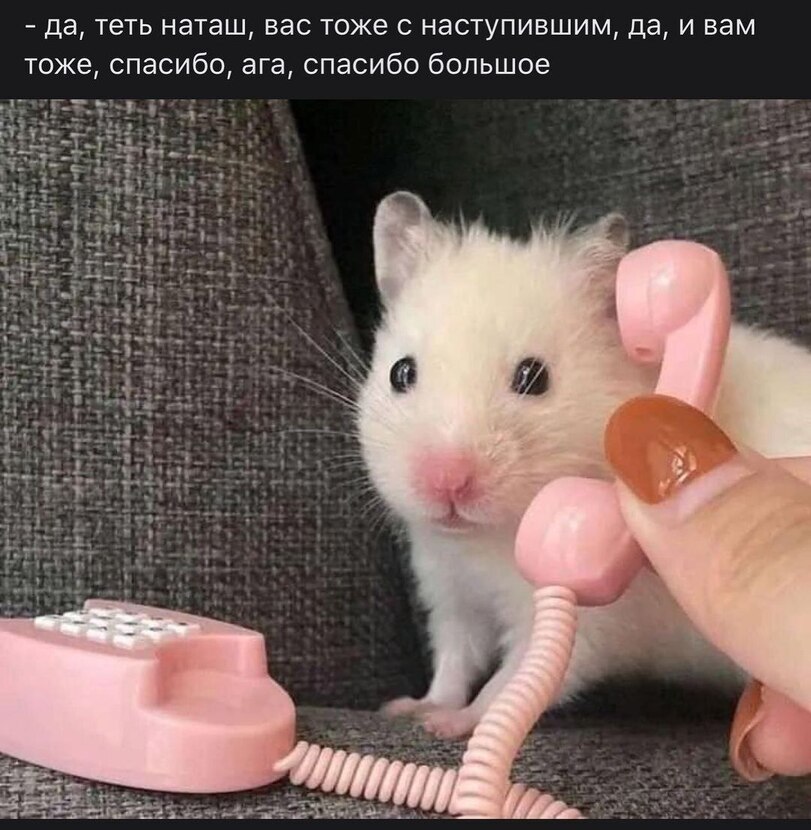 16785673.jpg