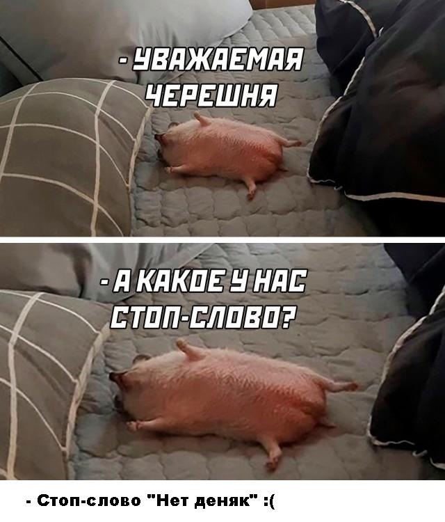 Калейдоскоп картинок