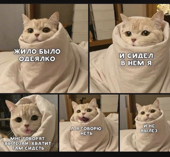 Нехочуха