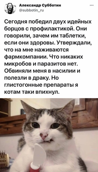 Картинки и мемы для настроения - 119