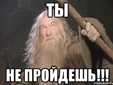 Стая собак терроризирует жителей Верхней Пышмы