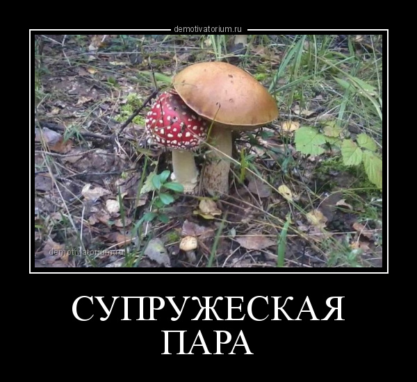 Прикольные и просто красивые картинки 18.11.2022