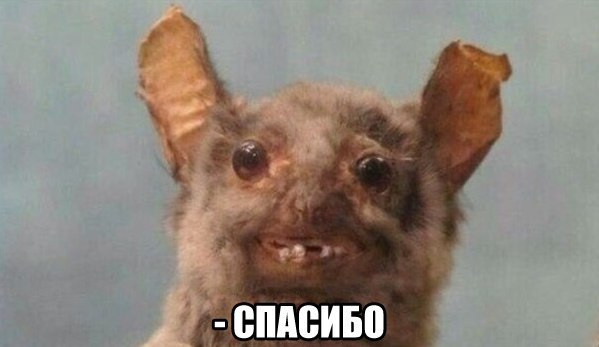 Так себе картинки 03.04.23
