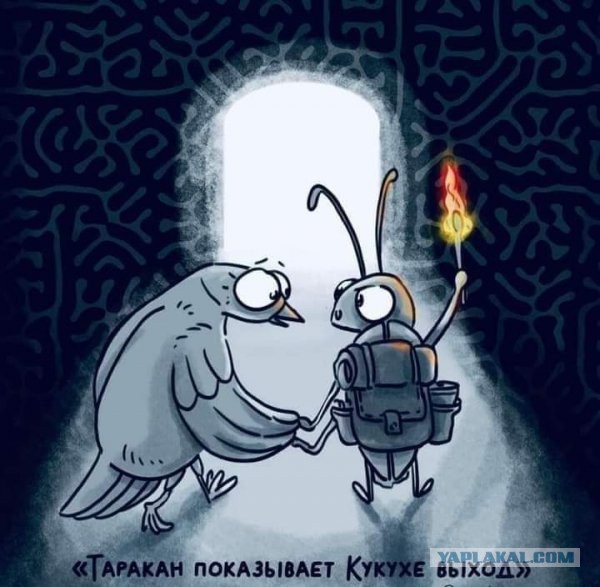 Испанка провела 500 дней в пещере на глубине 70 метров и установила мировой рекорд "одиночества"