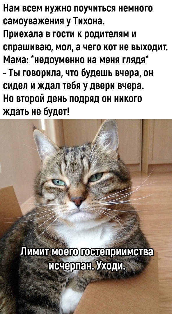 Так себе картинки 03.07.23