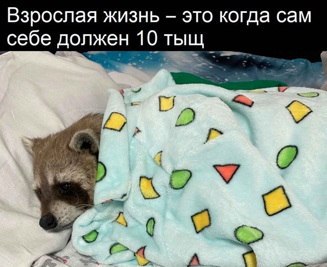 Хозяйство у жениха маленькое, жену не найдет!