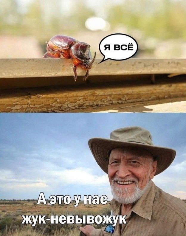 Картинок пост, баянистых и не очень