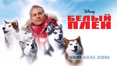 10 лет назад в автокатастрофе погиб Пол Уокер (Paul William Walker IV)