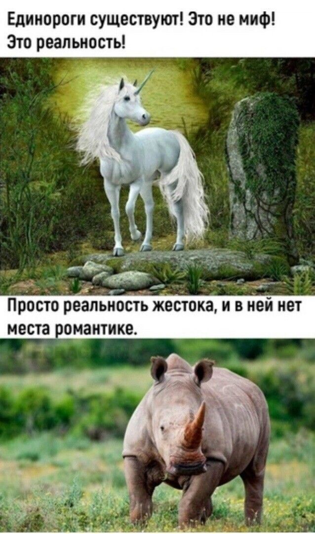 Юмор в картинках и без