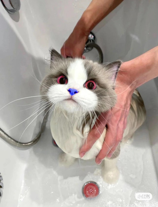 Необычный цвет глаз