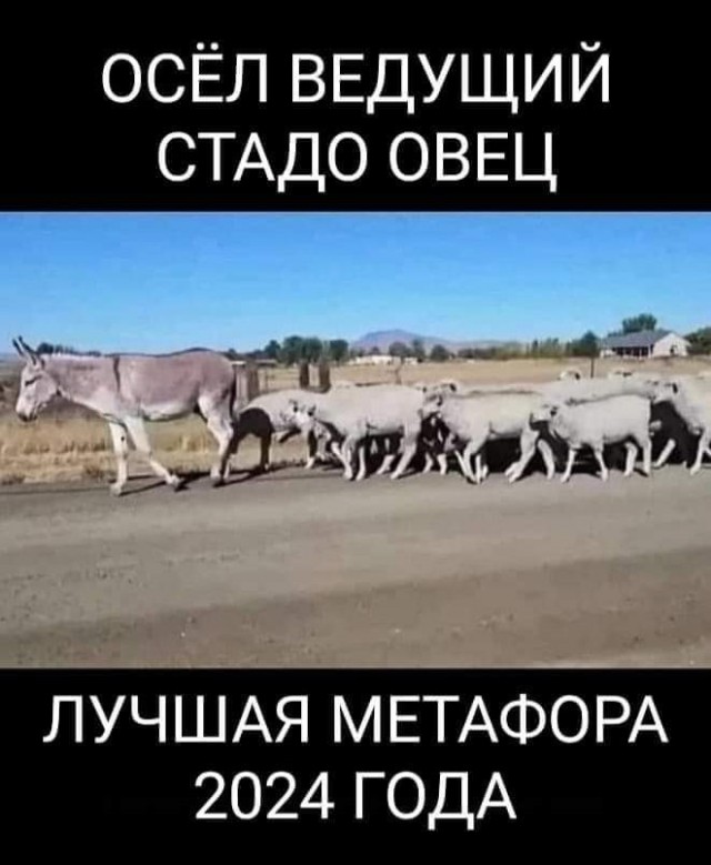 Первые данные ЦИК: Путин набирает 87,97 процента голосов