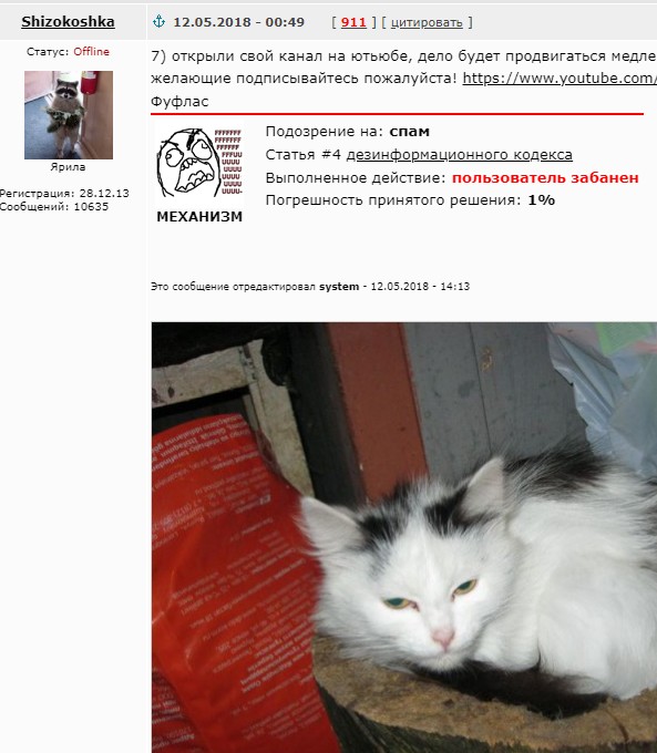 Жизнь домашнего приюта для котеек 507