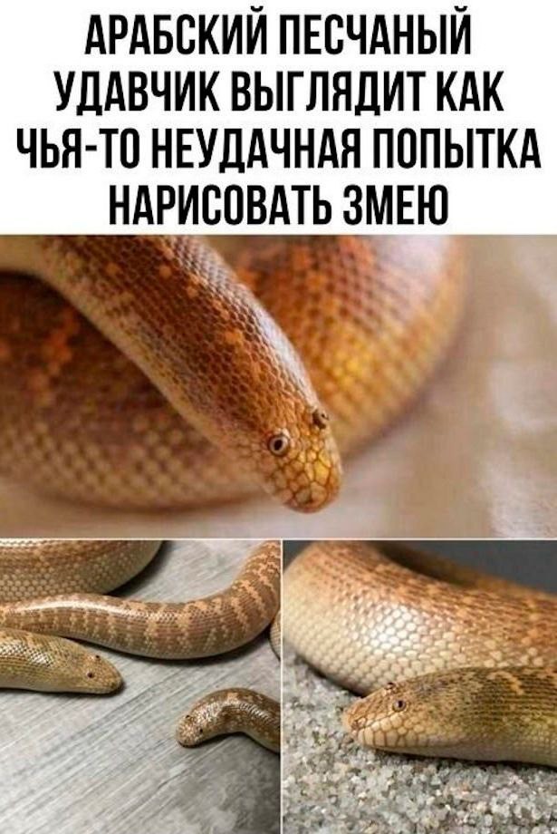 Немного забавных картинок от 05.08.24