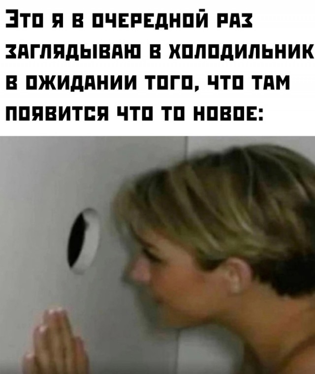 Весёлый полтишок 13.08.24