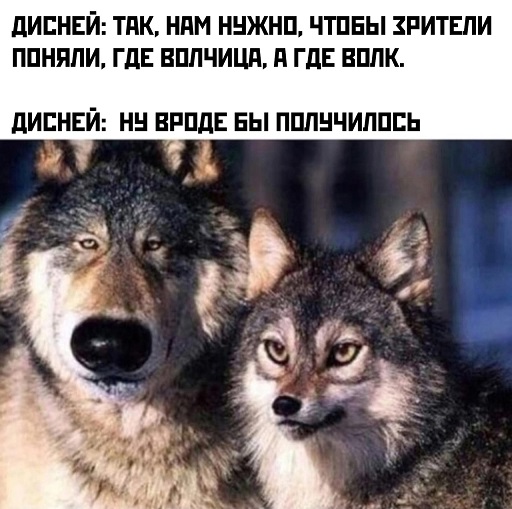А кто это мы?