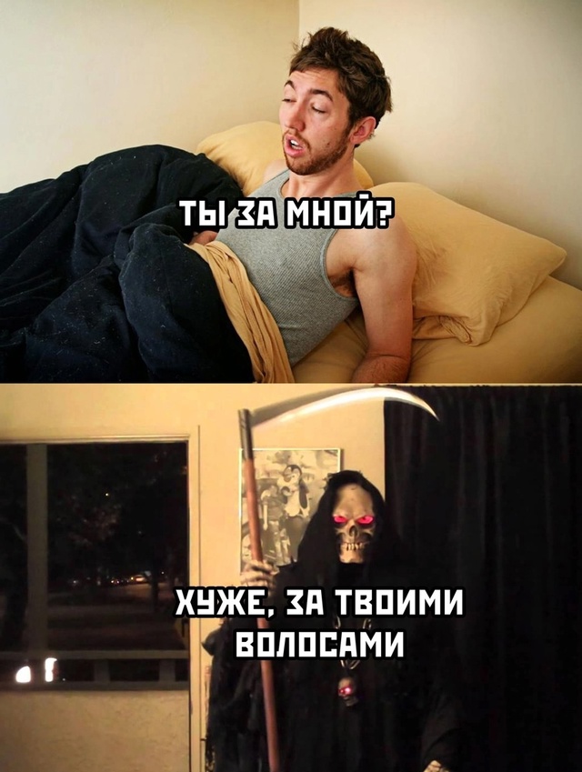 Весёлый полтишок 29.10.24