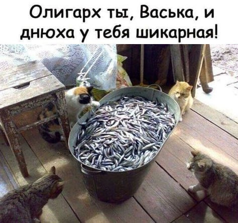 Так себе картинки 22.11.24