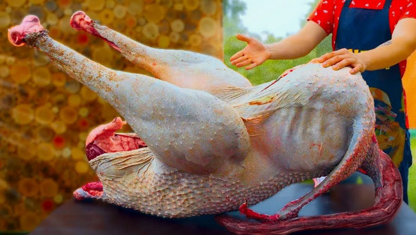 А может это страус злой, а может и не злой...