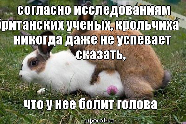 Ну, разбавим вторник позитивом!
