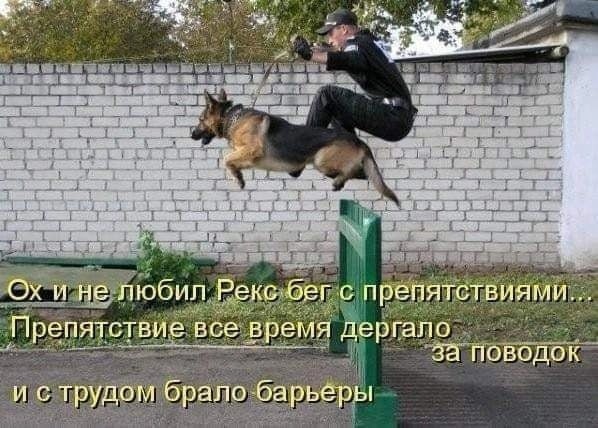 Когда соврал в резюме, но всё равно взяли на работу