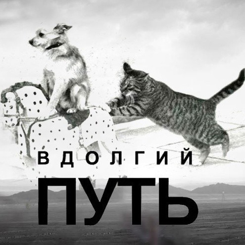 Всех люблю, ценю, уважаю