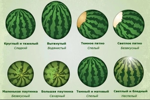 Адам