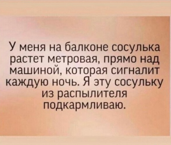 Так себе картинки 14.09.25