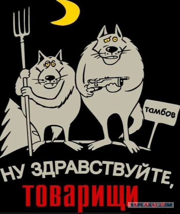 Картиночки, баянчики 18 февраля