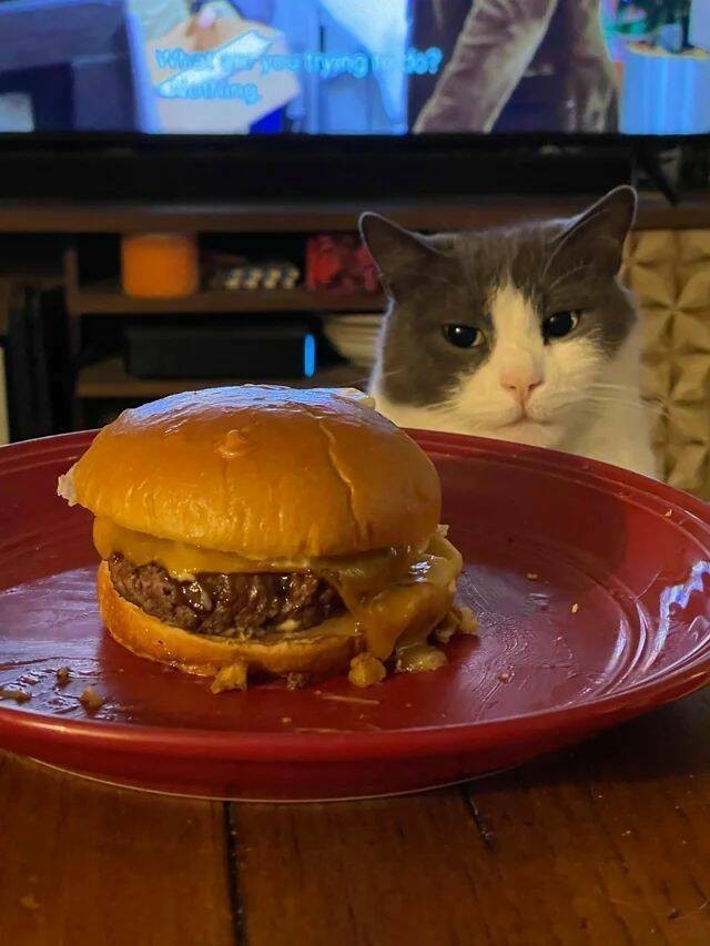 Забавные и интересные фото из Сети 23.04.26