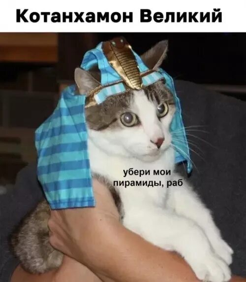 Как заставить современных фараонов смывать свои пирамиды?