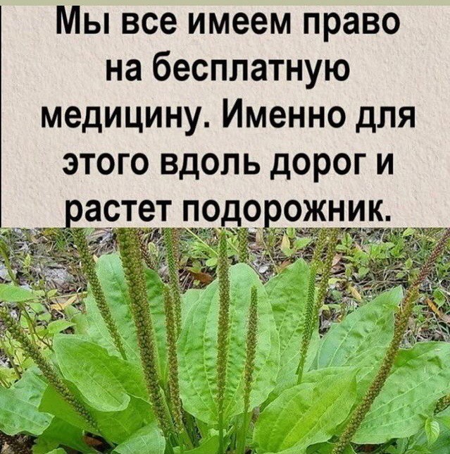Свежачок от врача-убийцы.