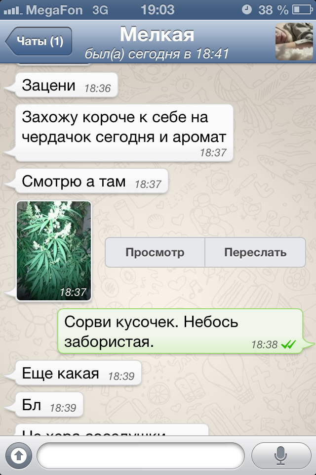 Захожу я к себе сегодня на чердачок, а там...