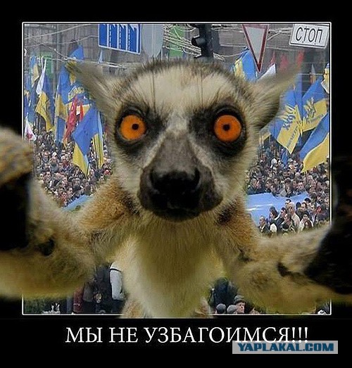 Как выглядит сейчас центр Киева