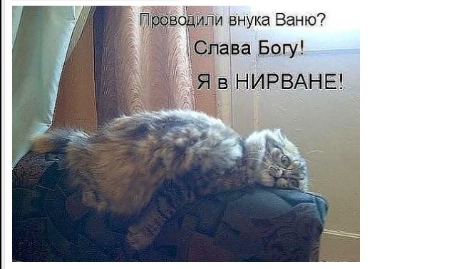 Весёлые картинки. Разбавим будни