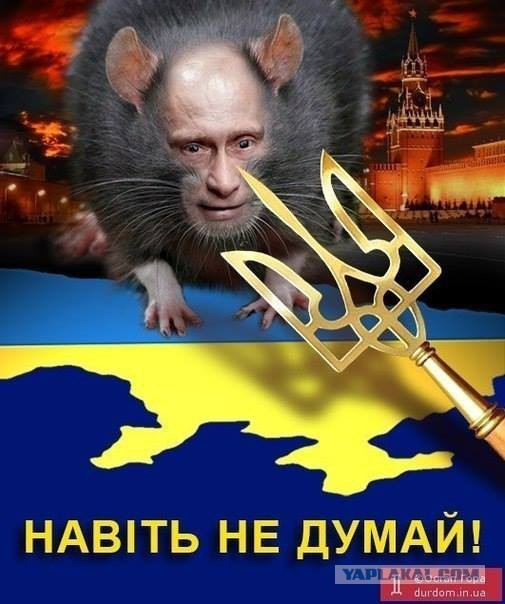 Митинг 10 марта, 14:00, м. Пушкинская