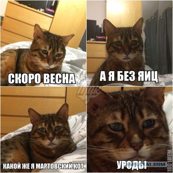 "У меня к вам пренеприятнейшее известие" (с)