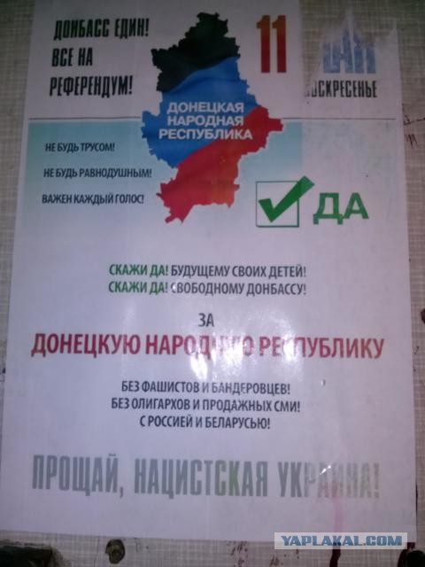 Подборка фото с референдума