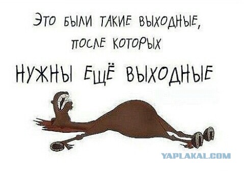 Они пережили Нашествие 2014