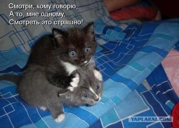 Поднимаем настроение