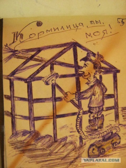 Карикатуры!