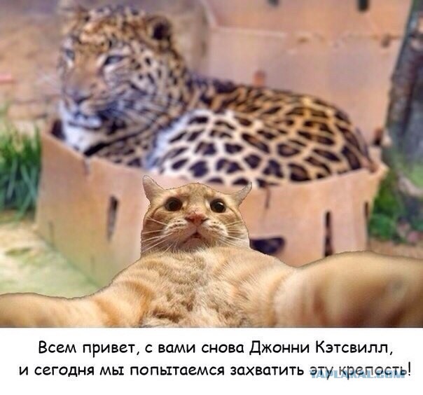 Свежие картинки из сети