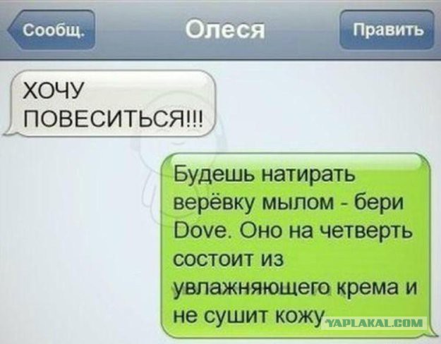 Веселые картинки